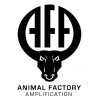 Animal Factory Amplification
